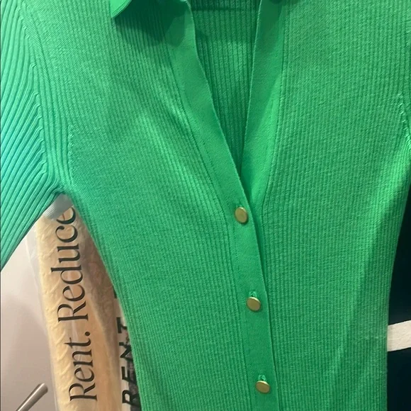 Alice + Olivia Green Sheath Dress with Notched Collar - Picture 3 of 6